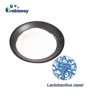 Gwo konsantrasyon Lactobacillus Casei