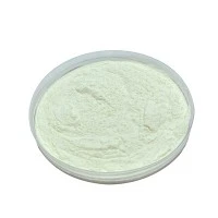 Lactobacillus Bulgaricus
