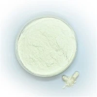Lactobacillus Paracasei